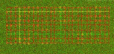 Fluorescent cDNA microarray image with the grid