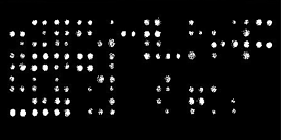 Fluorescent cDNA microarray image