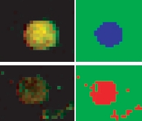 Intensity-based clustering