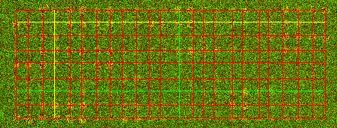 Fluorescent cDNA microarray image with the grid